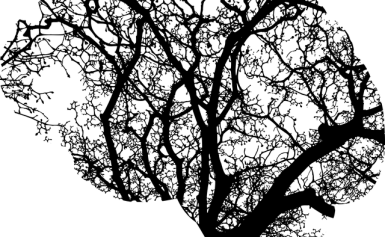  - Image 1