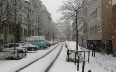  - Image 1