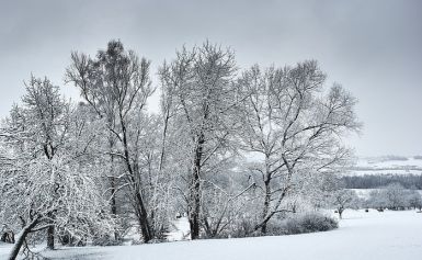  - Image 1