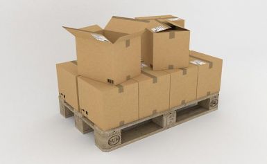  - Image 1