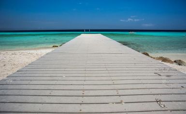  - Image 1