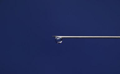  - Image 1