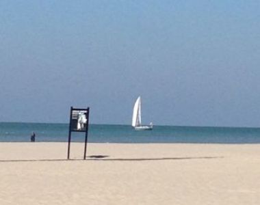 LE TOUQUET - Emplacement de Prestige / cession de parts de SELAS